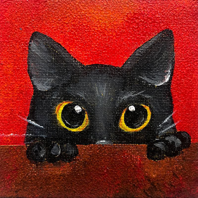 Black Kitty