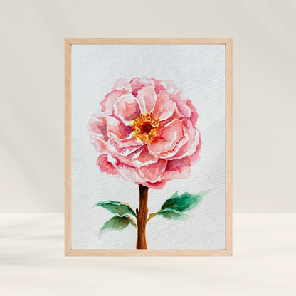Peony Watercolour Print